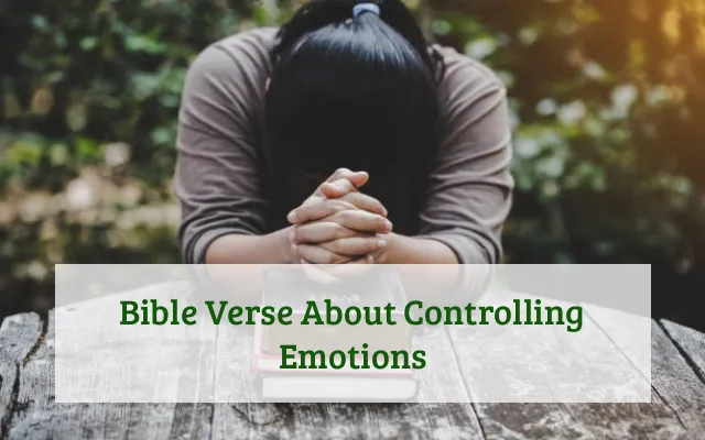 Bible Verse About Controlling Emotions