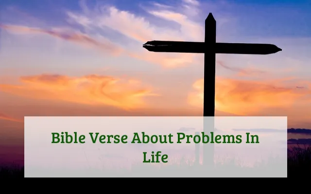 Bible Verse About Problems In Life