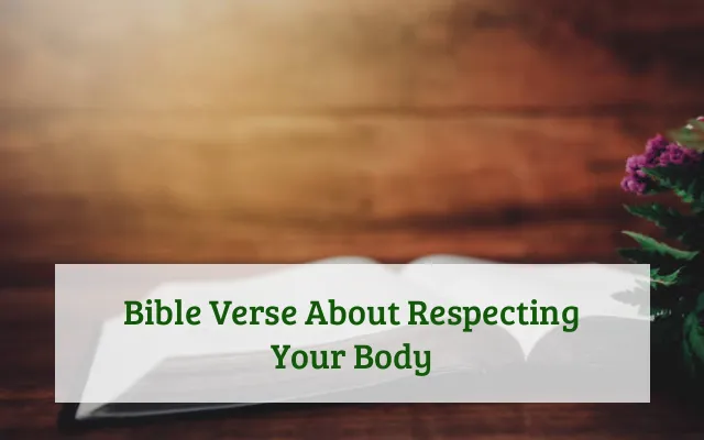 Bible Verse About Respecting Your Body