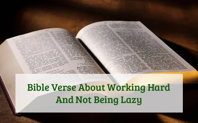 Bible Verse About Working Hard And Not Being Lazy