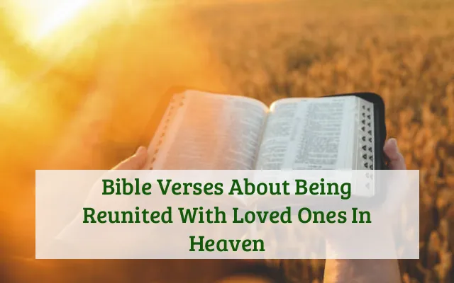 Bible Verses About Being Reunited With Loved Ones In Heaven