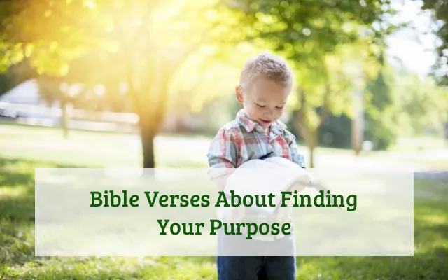 Bible Verses About Finding Your Purpose