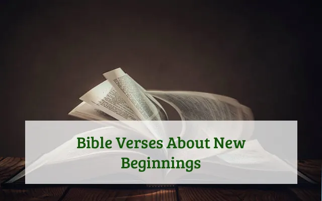 Bible Verses About New Beginnings