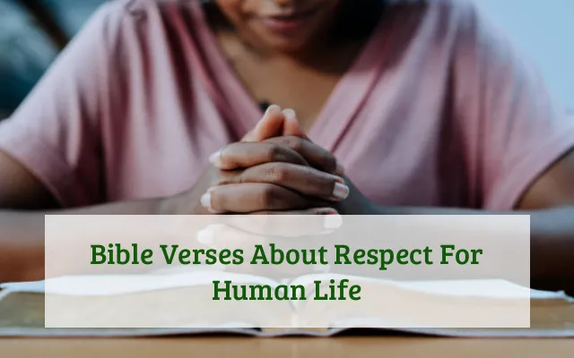 Bible Verses About Respect For Human Life